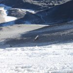 ojos del salado expedition