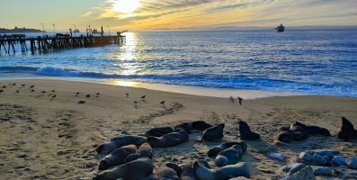 An unmissable tour of the surroundings of Santiago