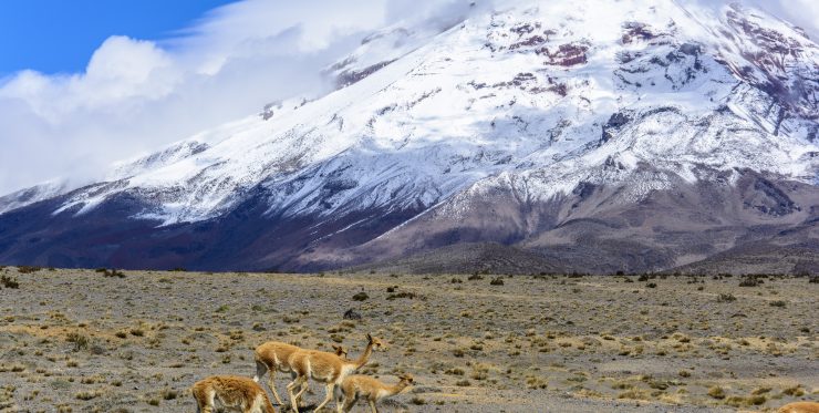 Chimborazo