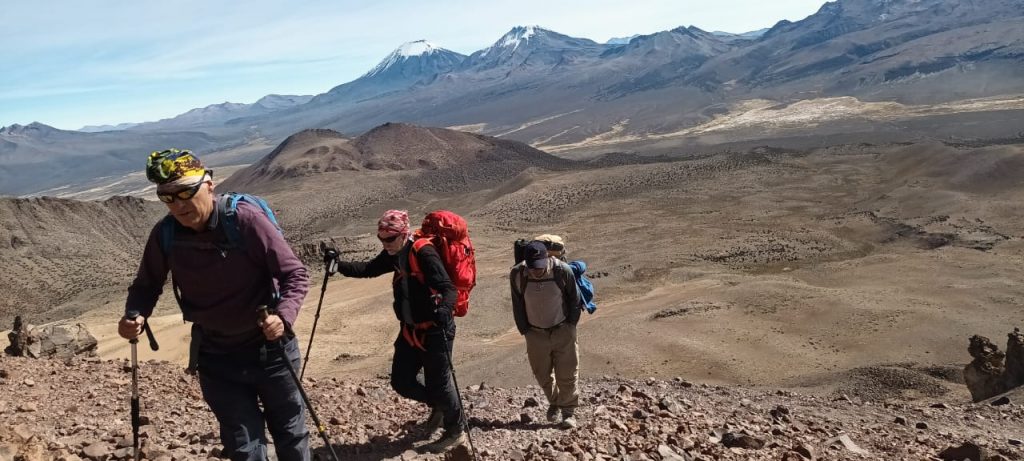 sajama