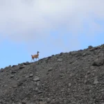 MarmolejoExpedition_008